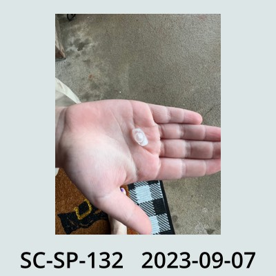 Hail Obs Photo
