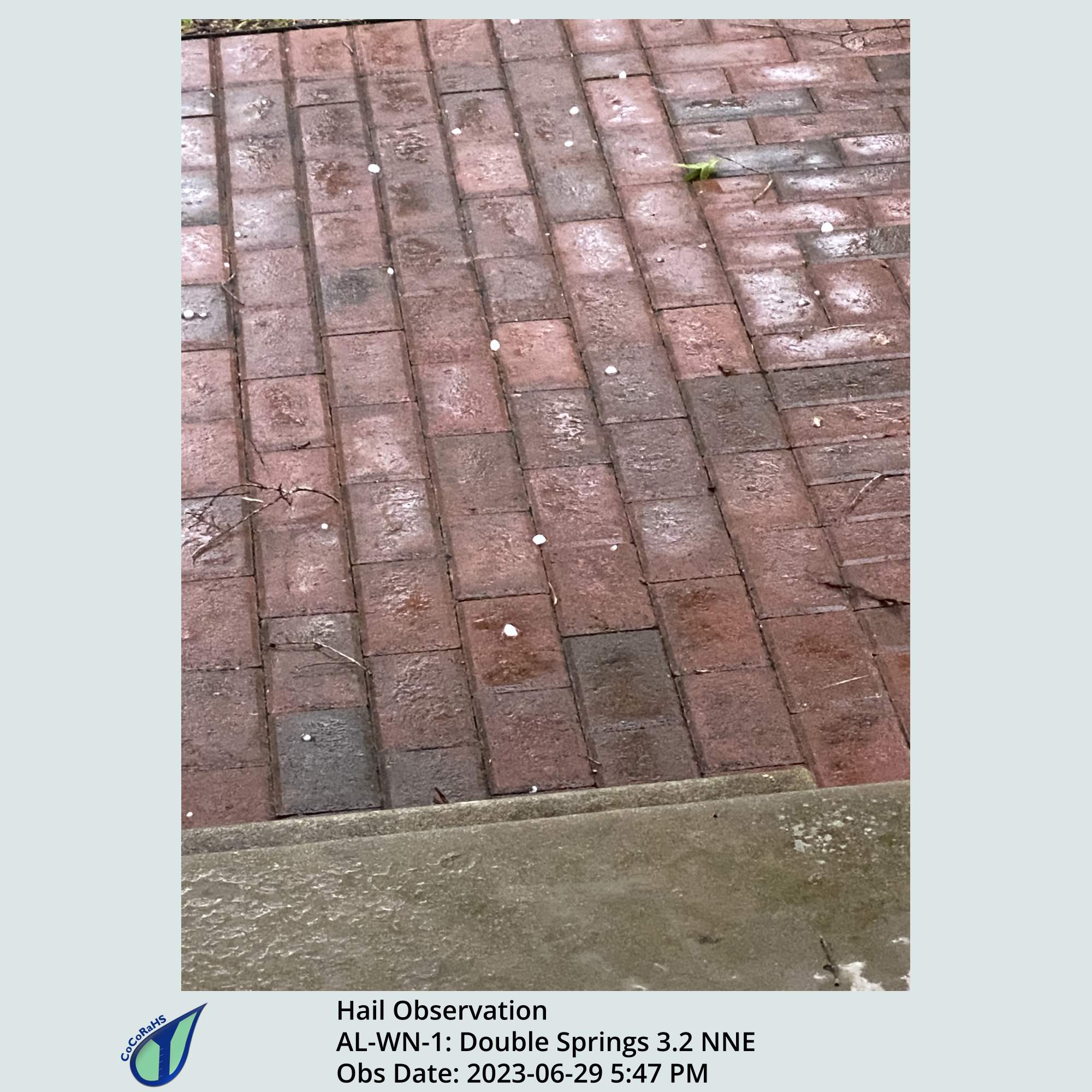 Full size version of the thumbnail.