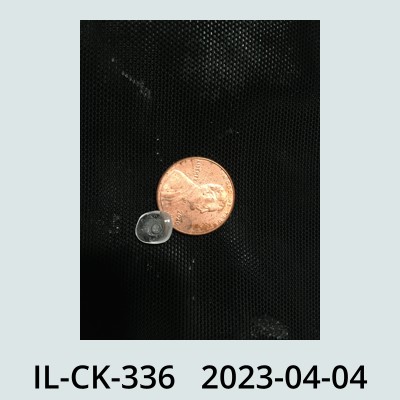 Hail Obs Photo