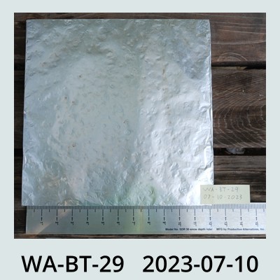 Hail Obs Photo