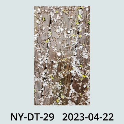 Hail Obs Photo