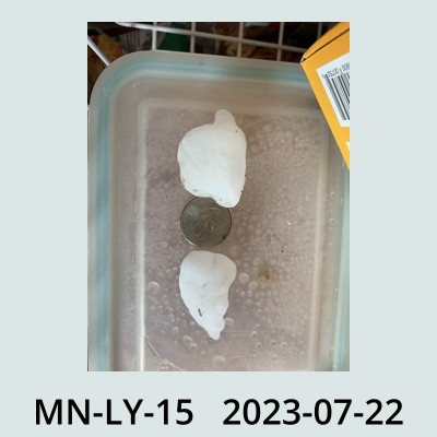 Hail Obs Photo