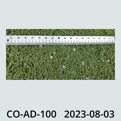 Hail Obs Photo
