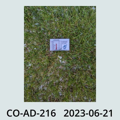 Hail Obs Photo