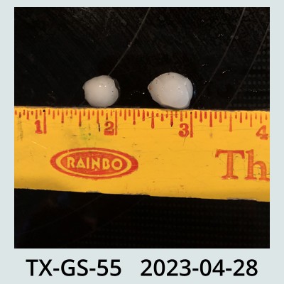Hail Obs Photo