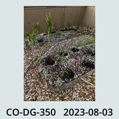 Hail Obs Photo