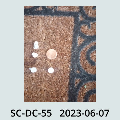 Hail Obs Photo
