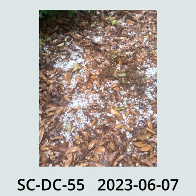 Hail Obs Photo