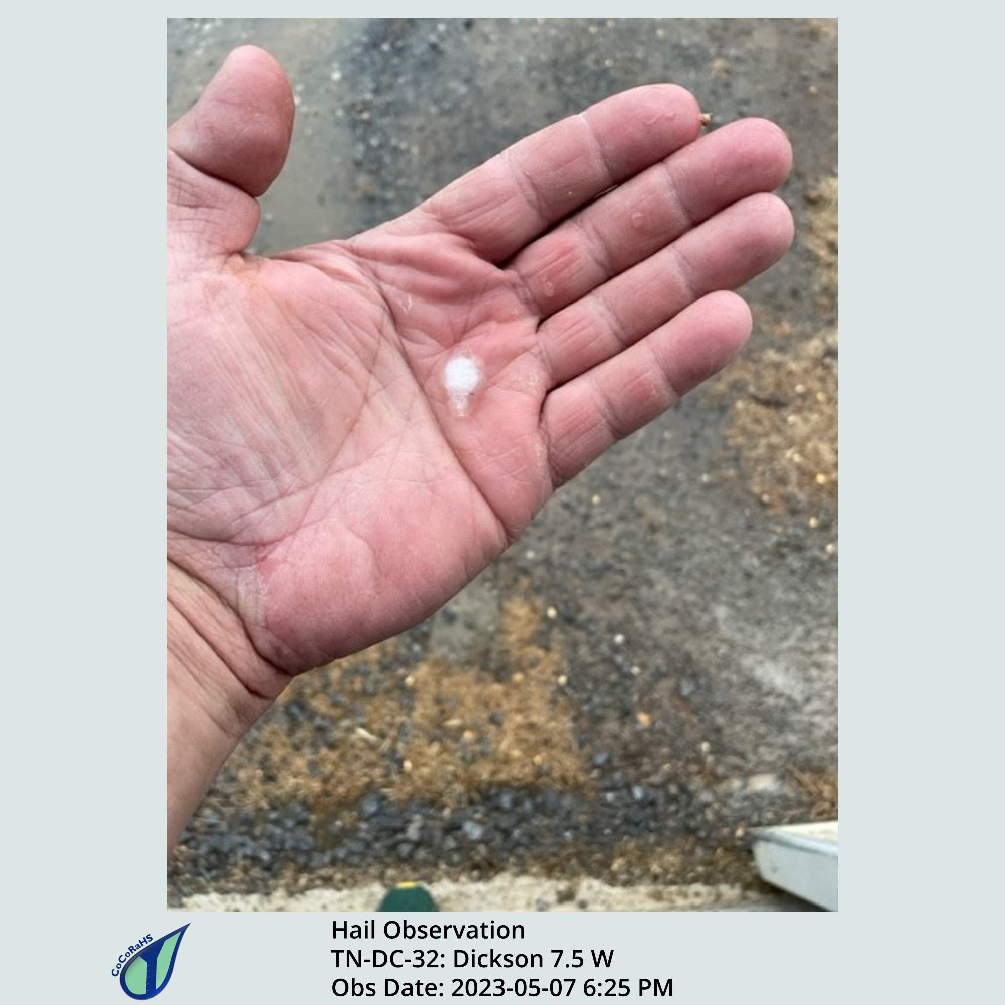 Full size version of the thumbnail.