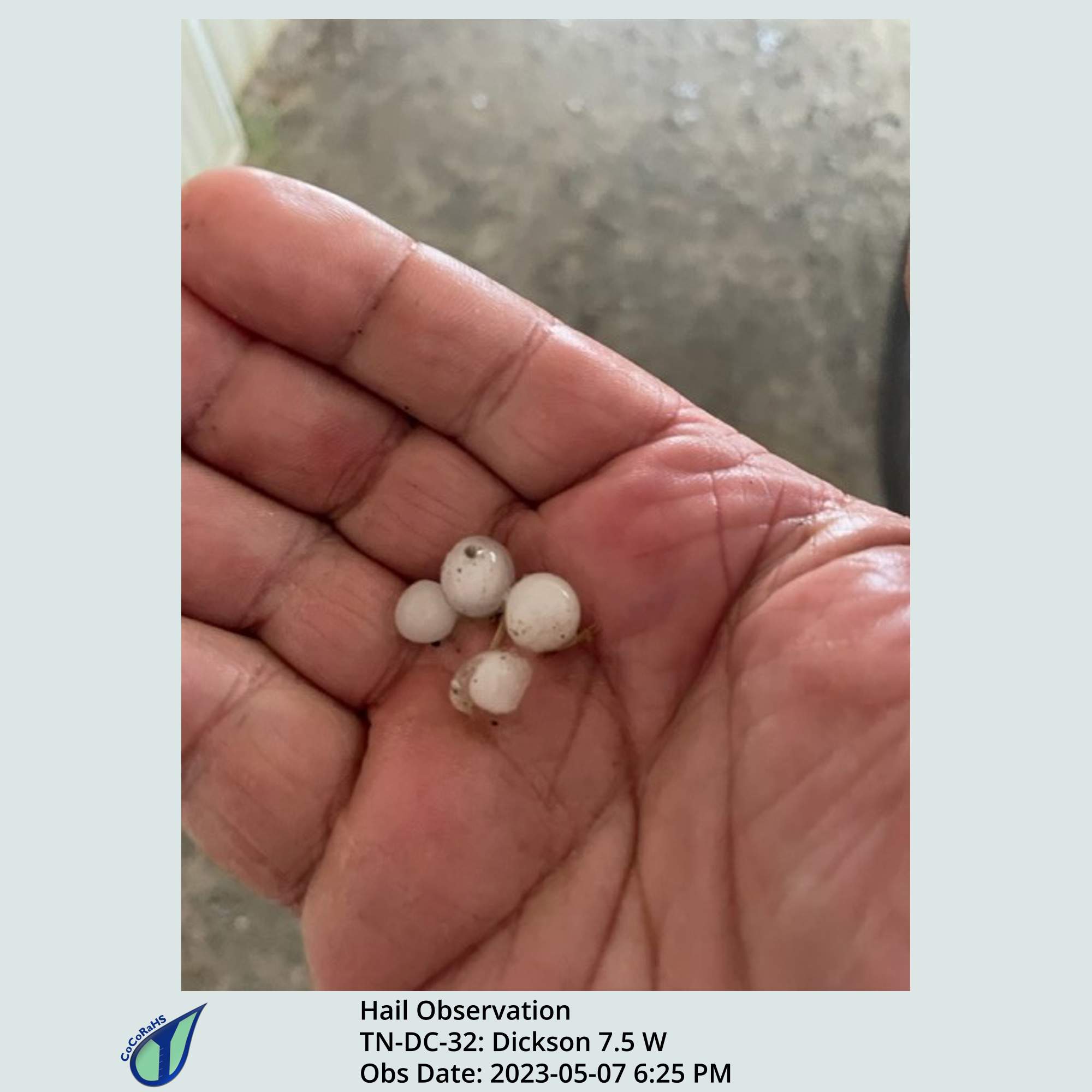 Full size version of the thumbnail.