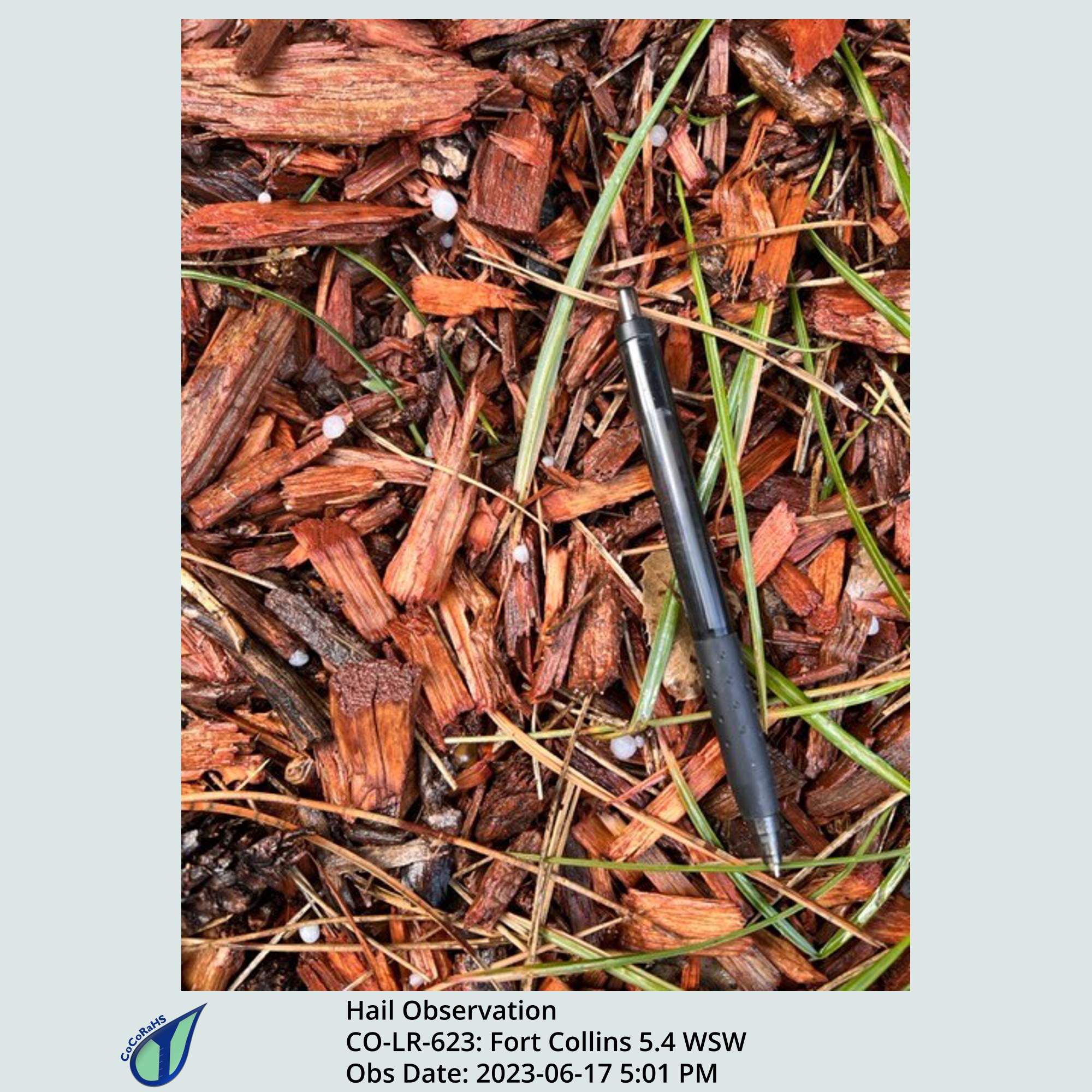 Full size version of the thumbnail.