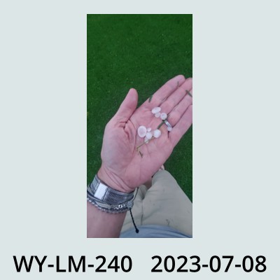 Hail Obs Photo