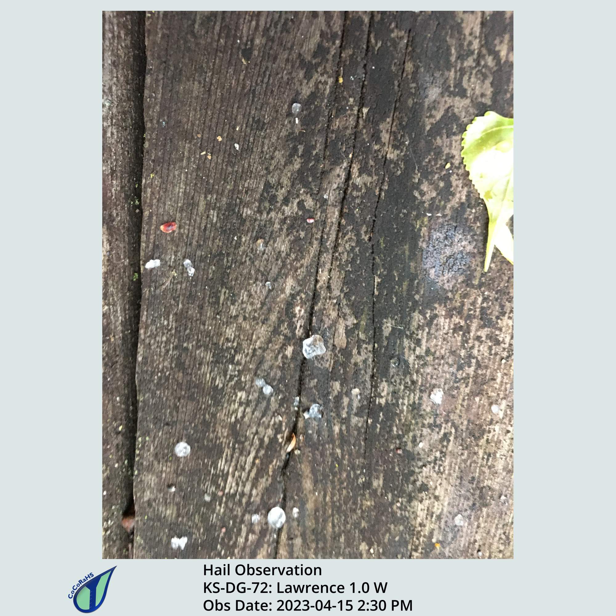 Full size version of the thumbnail.