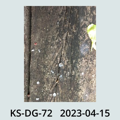 Hail Obs Photo