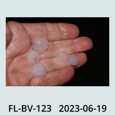 Hail Obs Photo