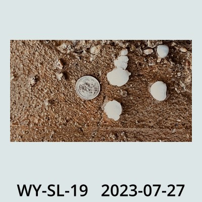 Hail Obs Photo