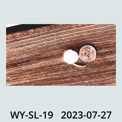Hail Obs Photo