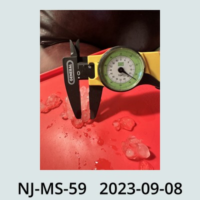 Hail Obs Photo