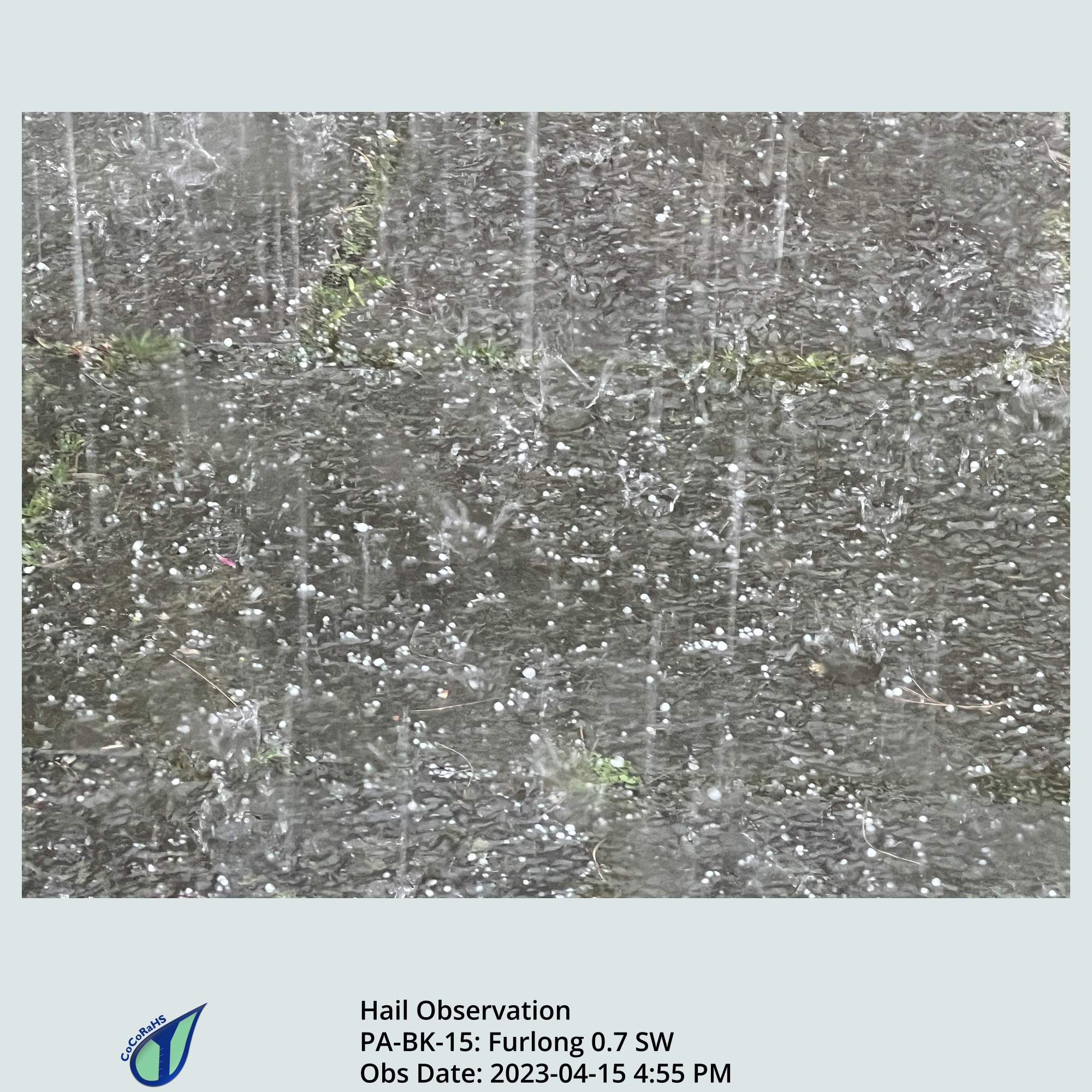 Full size version of the thumbnail.