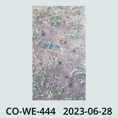 Hail Obs Photo