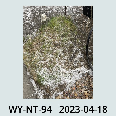 Hail Obs Photo