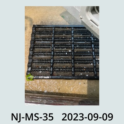 Hail Obs Photo