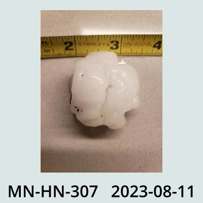 Hail Obs Photo