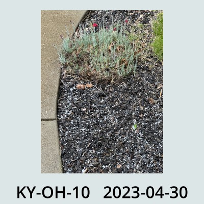 Hail Obs Photo