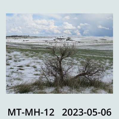 Hail Obs Photo