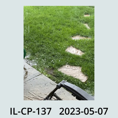 Hail Obs Photo