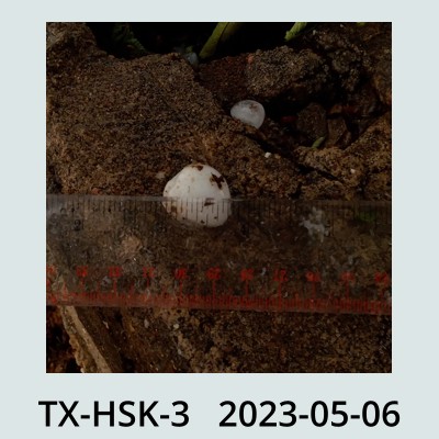 Hail Obs Photo