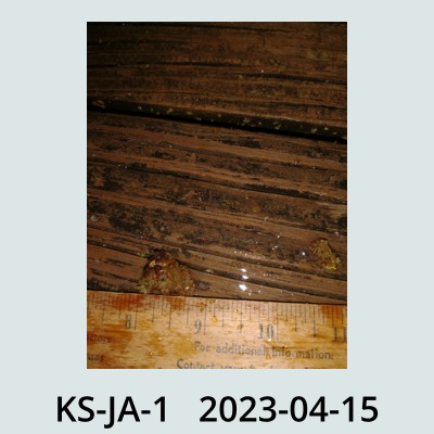 Hail Obs Photo