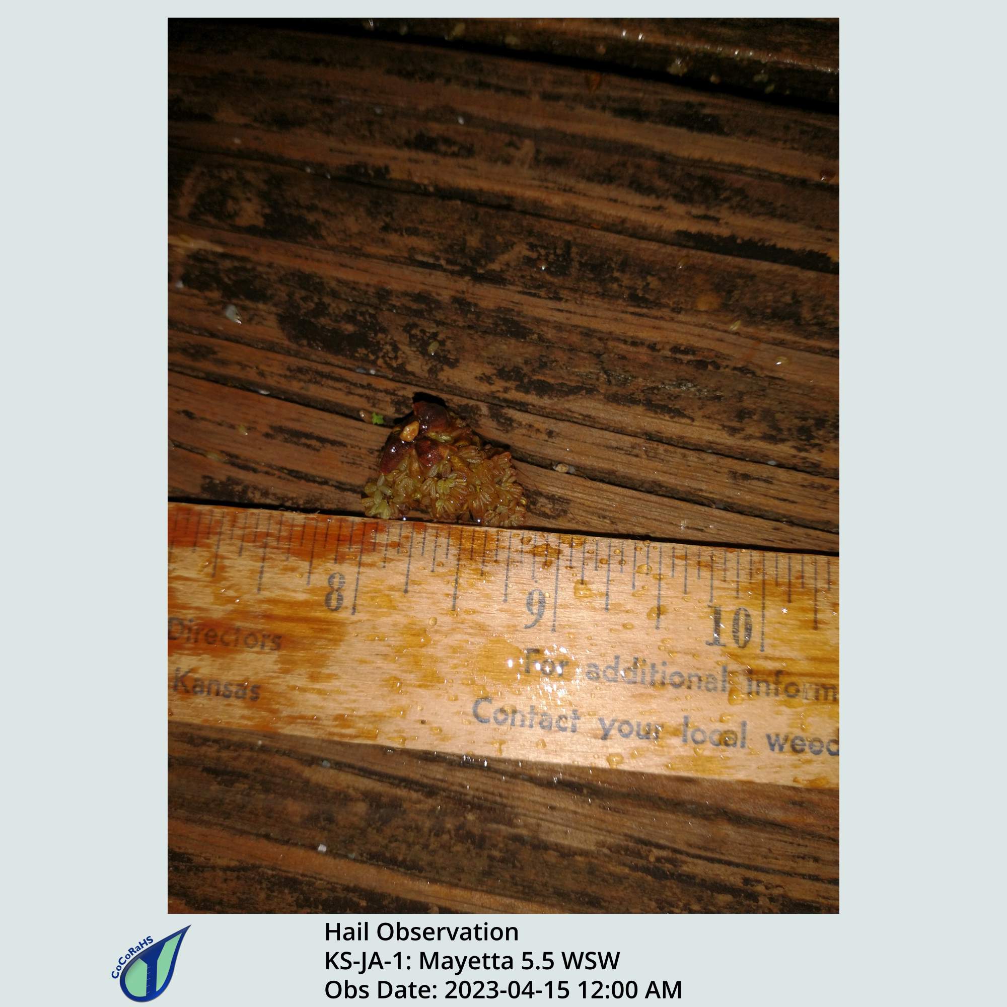 Full size version of the thumbnail.