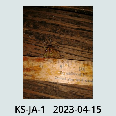 Hail Obs Photo