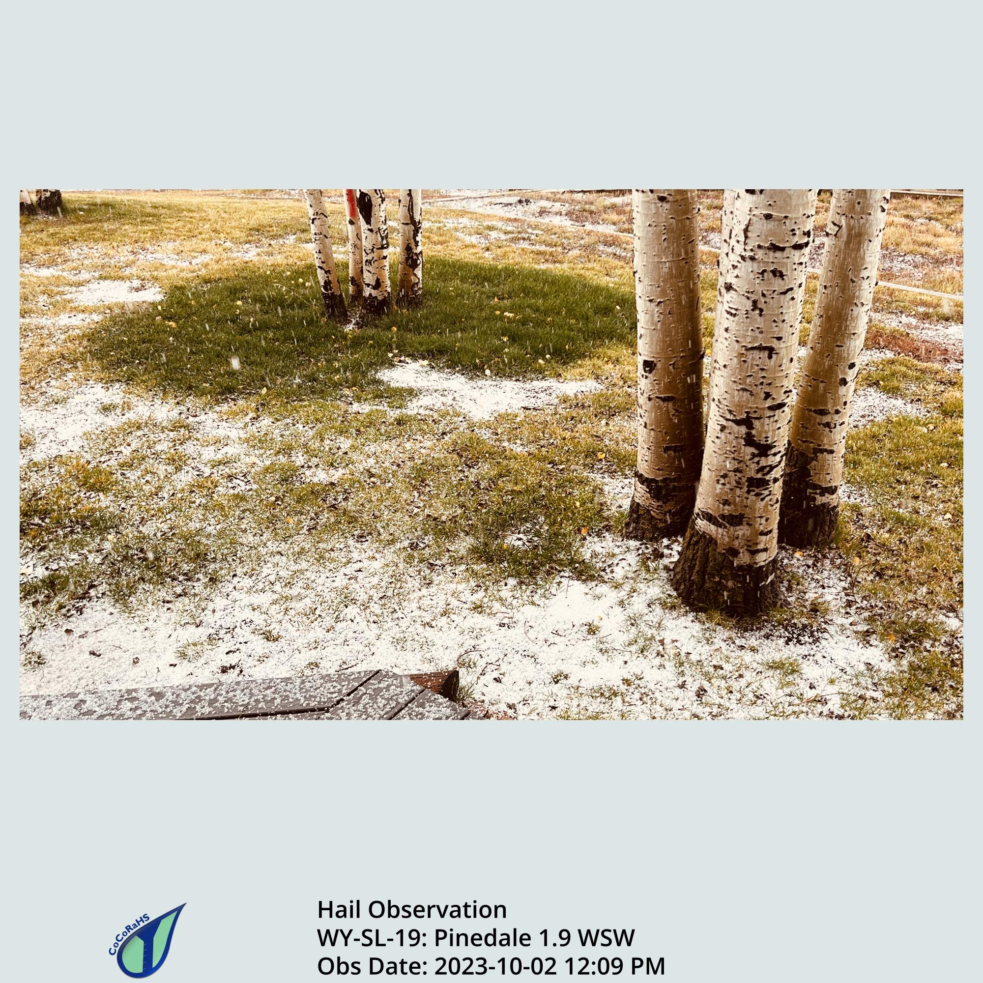 Full size version of the thumbnail.