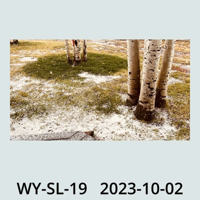 Hail Obs Photo