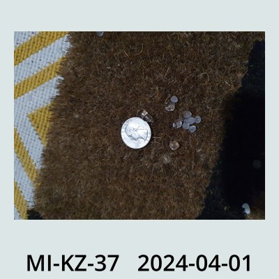 Hail Obs Photo