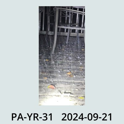 Hail Obs Photo