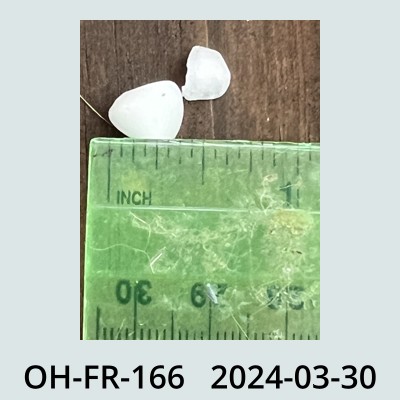 Hail Obs Photo