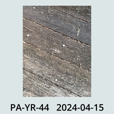 Hail Obs Photo