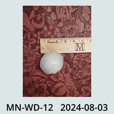 Hail Obs Photo
