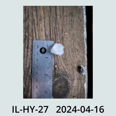 Hail Obs Photo