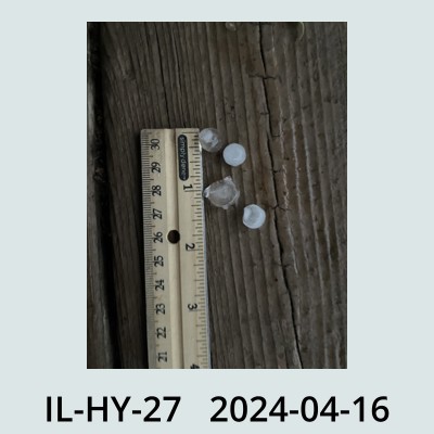 Hail Obs Photo