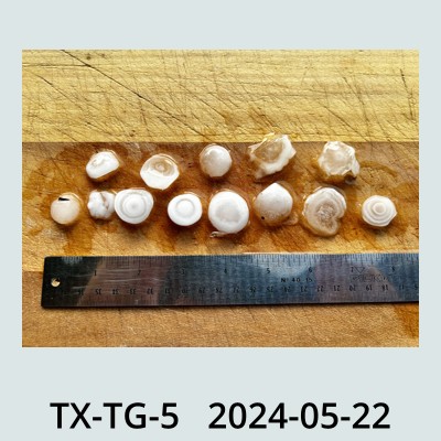 Hail Obs Photo