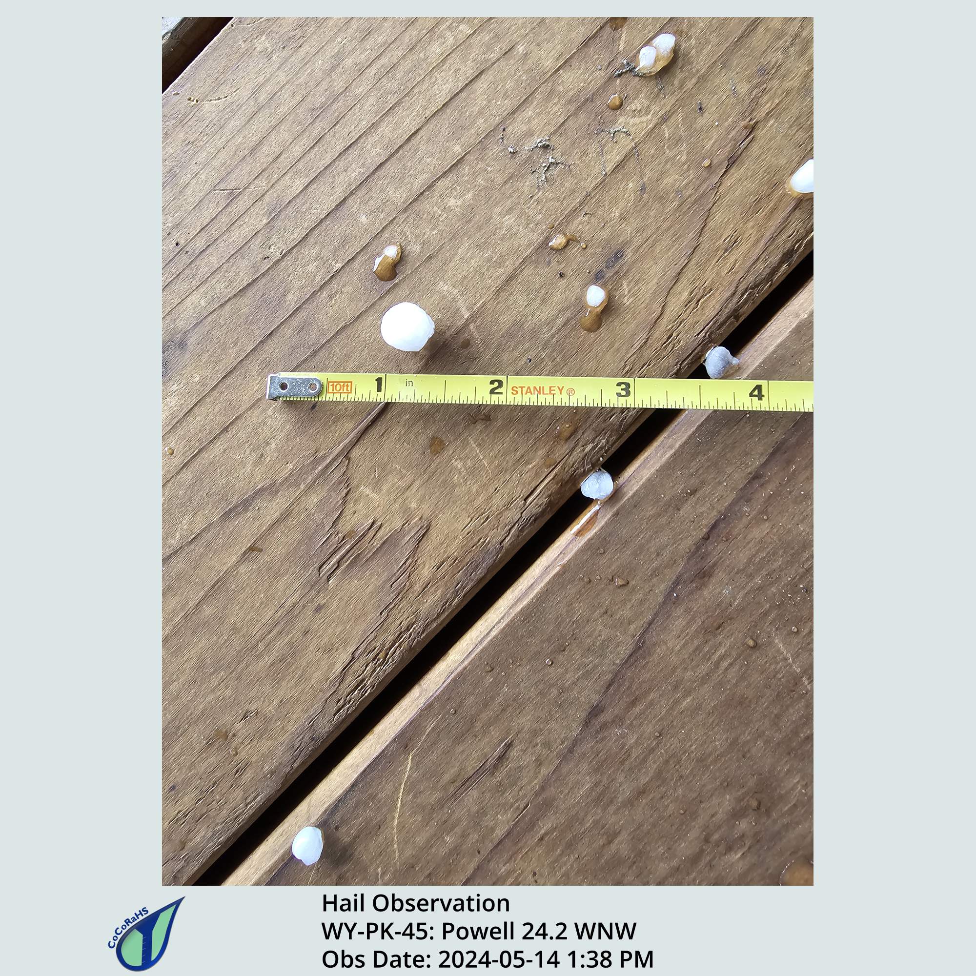 Full size version of the thumbnail.