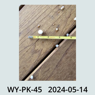 Hail Obs Photo