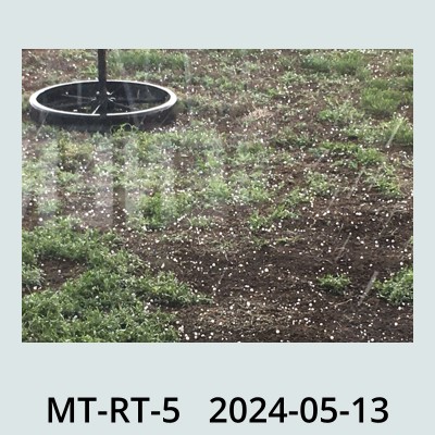 Hail Obs Photo
