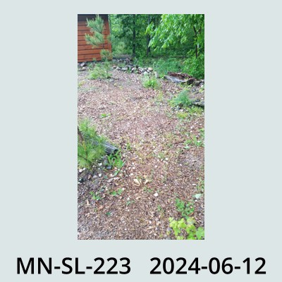 Hail Obs Photo