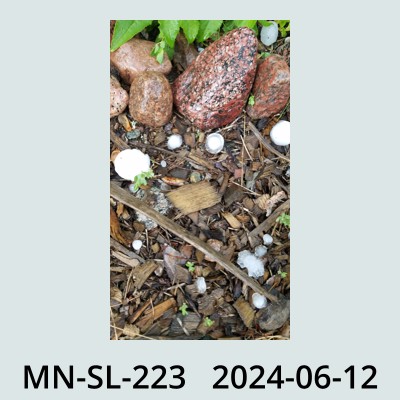 Hail Obs Photo