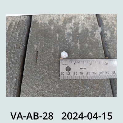 Hail Obs Photo